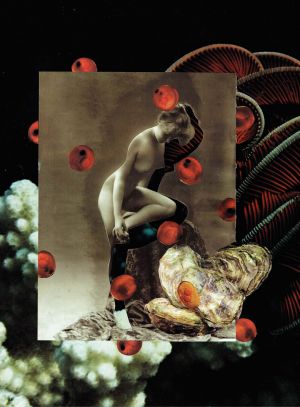 Tineke Sips' limited edition prints